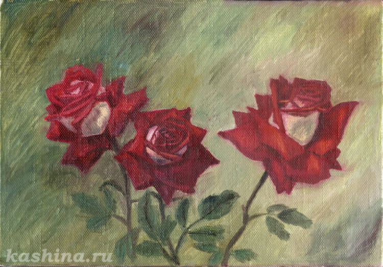 Розы Николь, Евгения Кашина